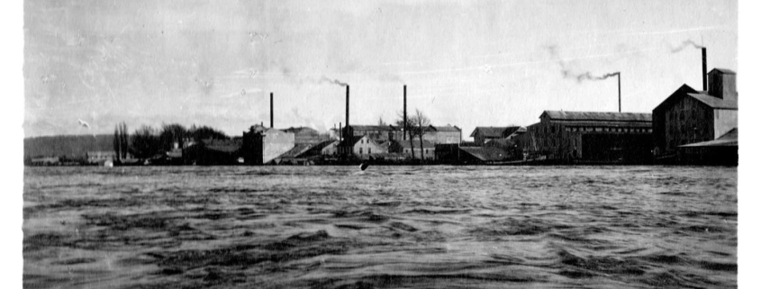 13 nº9 Hoffmann, Ruddloff, Anwandter_maltería (GSaelzer)