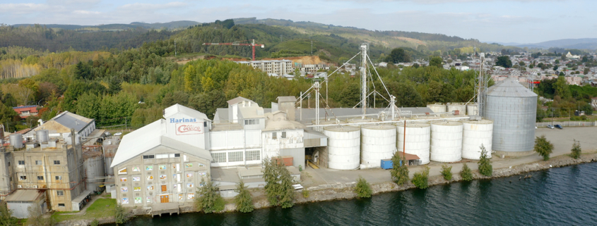 Molinos Collico Actual