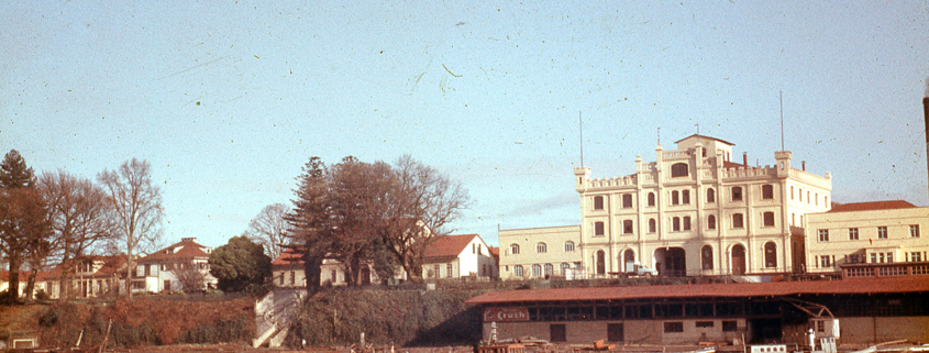 Ribera de enfrente a Complejo Kunstmann, Hoffmann,Rudloff-2